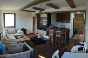 Lucic Apartman Vidik